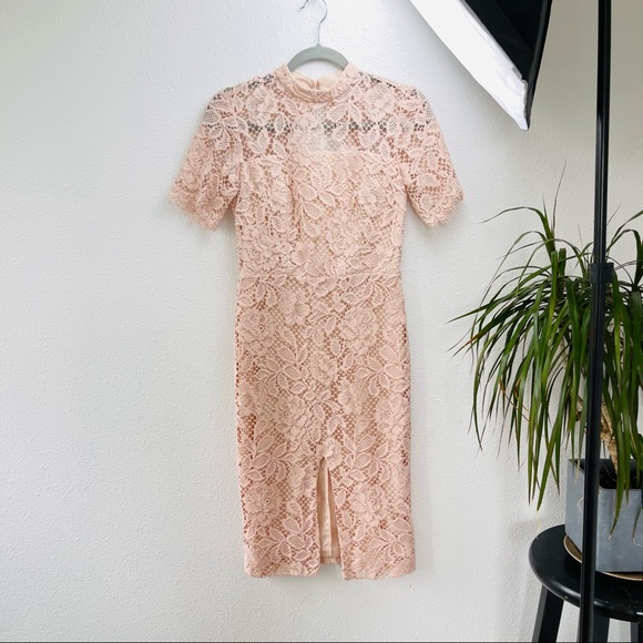 ALEXIS midi dress laced floral pink sheath bodycon nude formal wedding prom boho - Picture 6 of 14